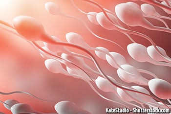 Mehr Spermien produzieren und Samenerguss Menge erhöhen