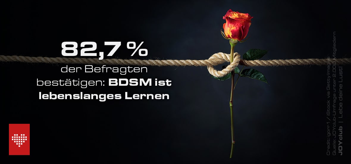 BDSM-Umfrage-03